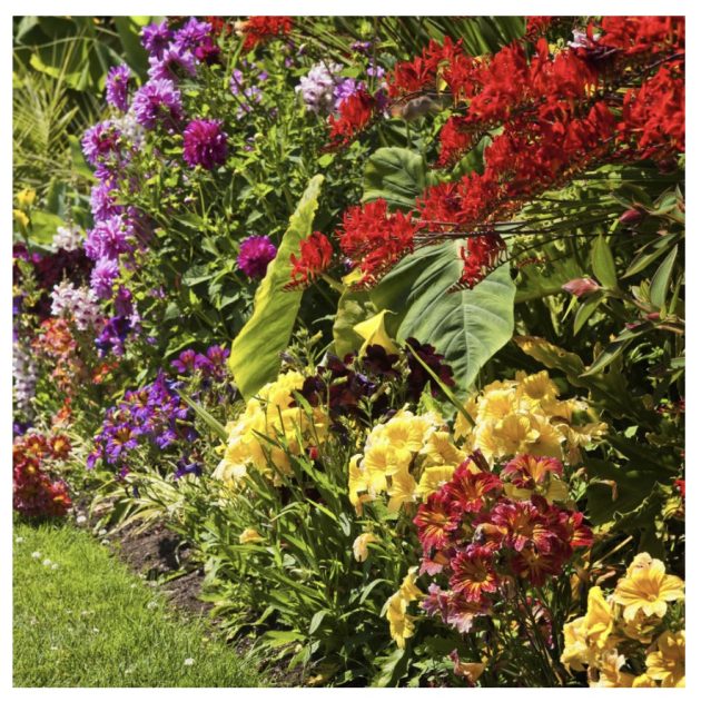 Bees & Butterflies Grand Garden Collection